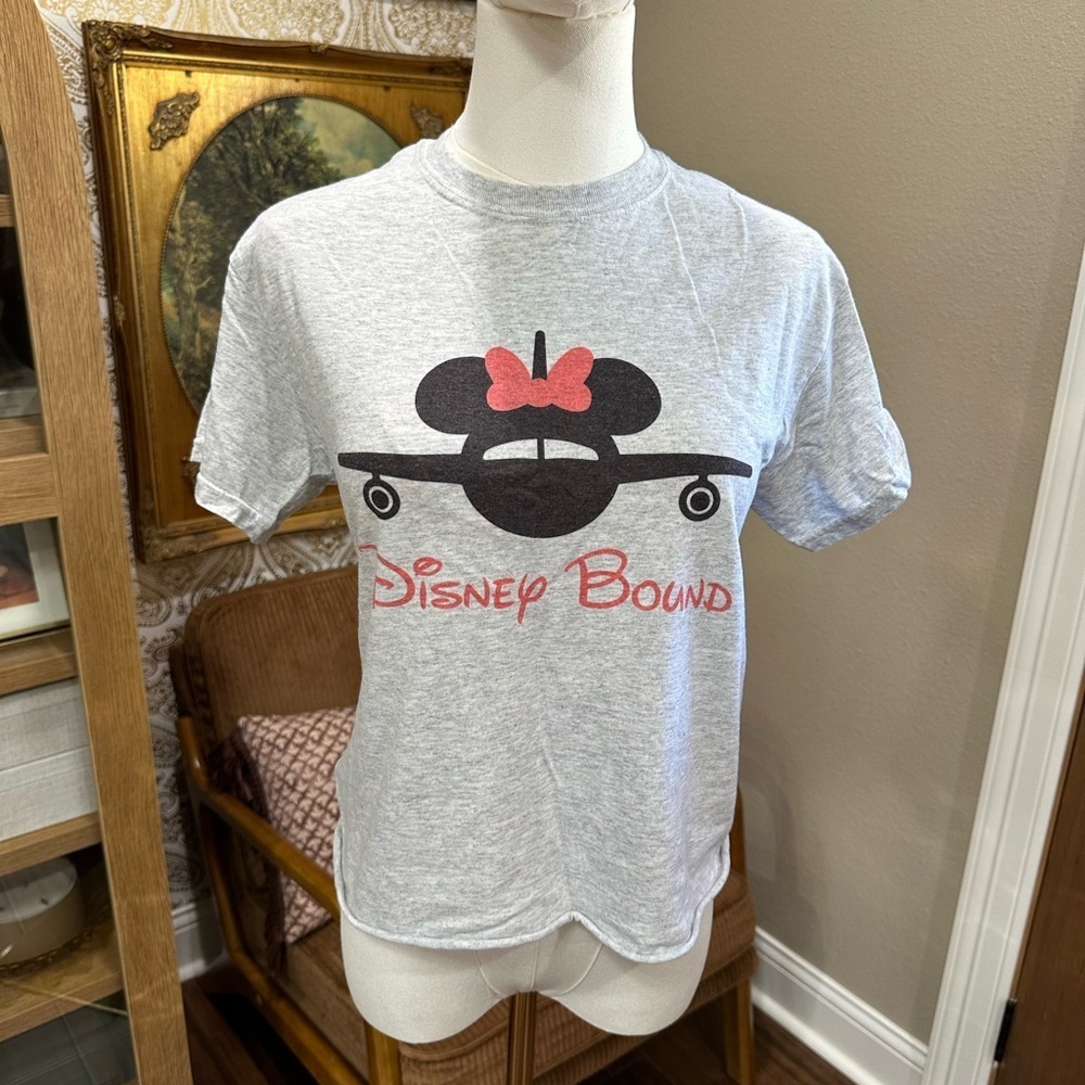 Disney Women’s Gray T-Shirt Disney Bound Plane Size Small